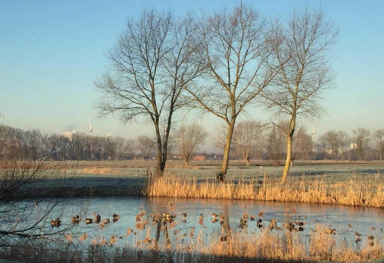 Logies De Meerkoet Брюгге Экстерьер фото